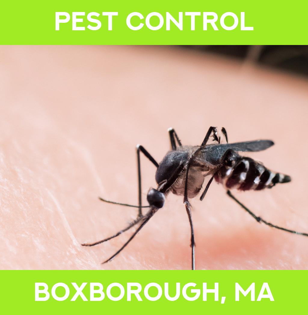 pest control in Boxborough Massachusetts