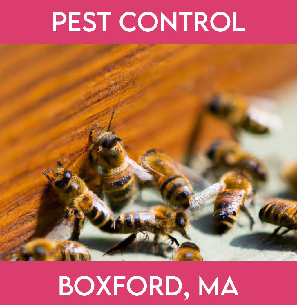 pest control in Boxford Massachusetts