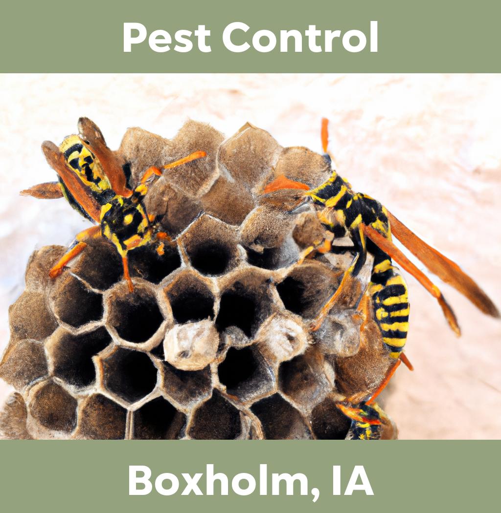 pest control in Boxholm Iowa