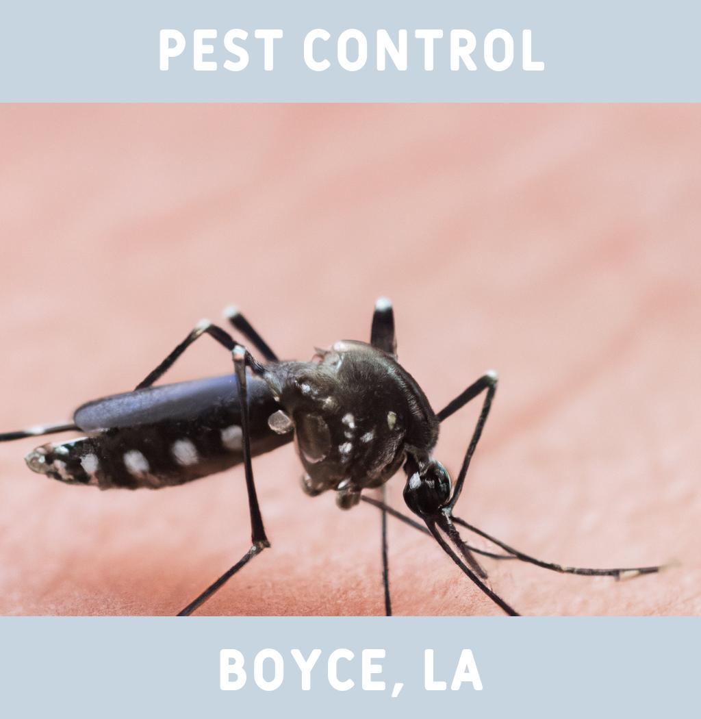 pest control in Boyce Louisiana