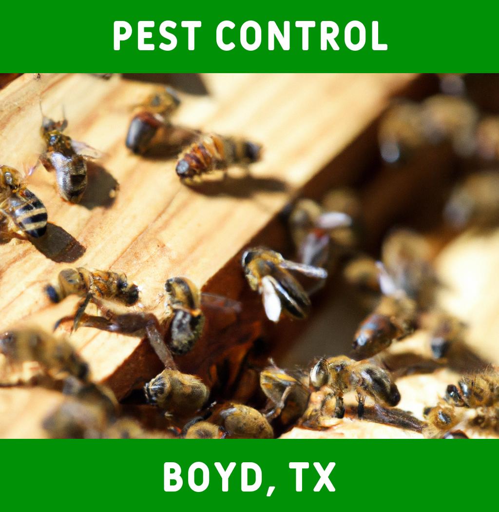 pest control in Boyd Texas