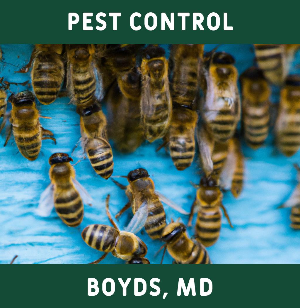 pest control in Boyds Maryland