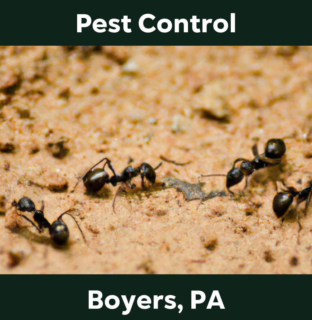 pest control in Boyers Pennsylvania