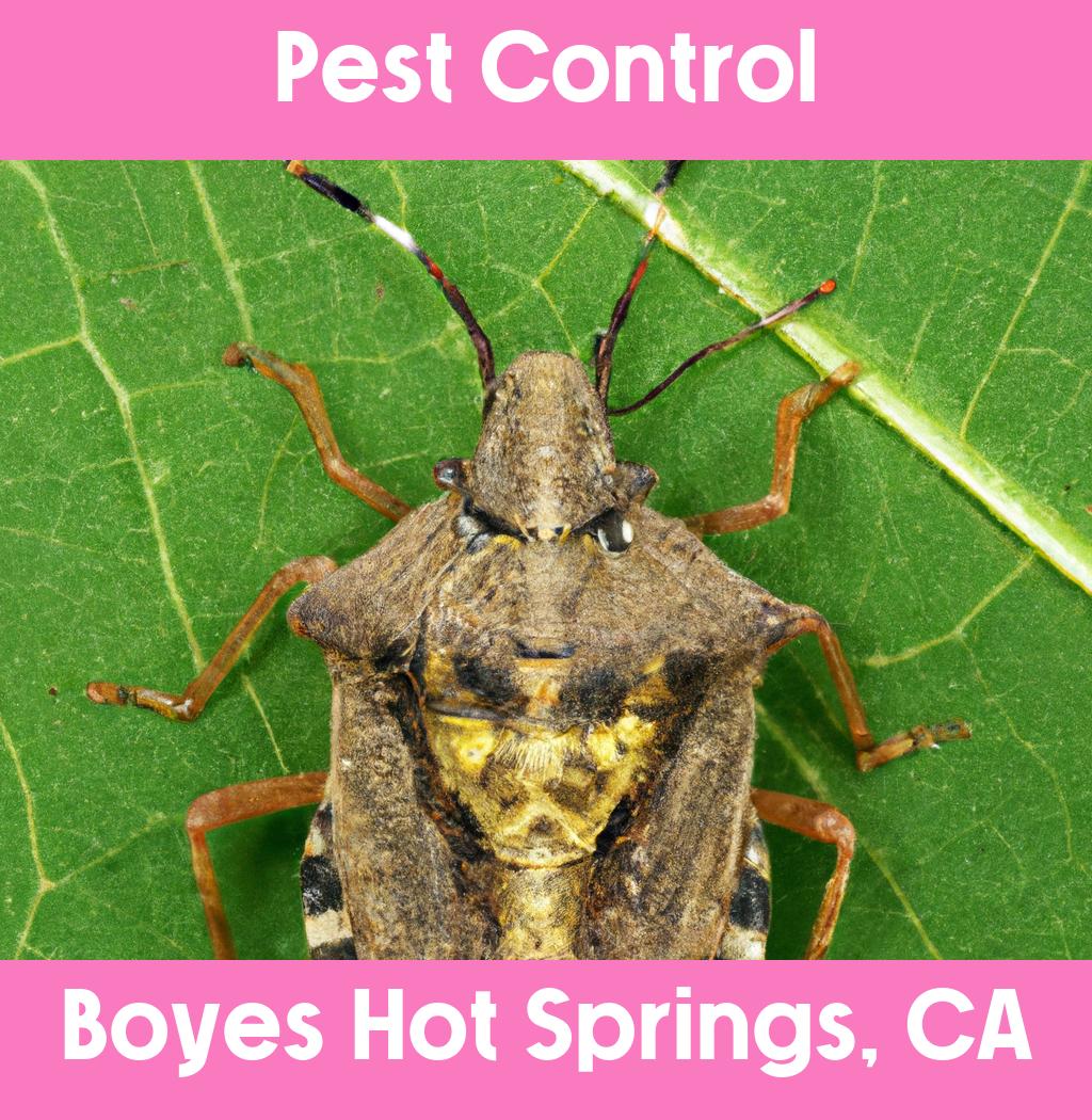 pest control in Boyes Hot Springs California