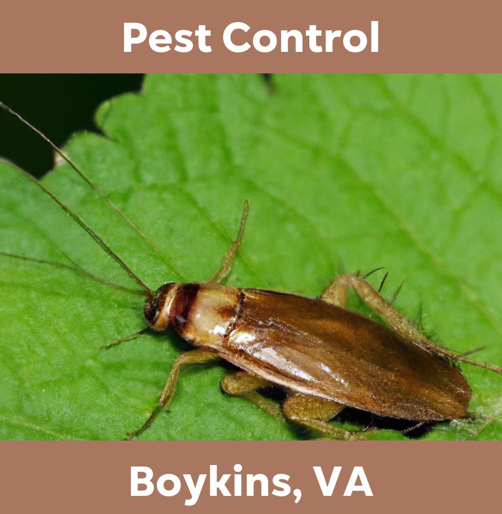 pest control in Boykins Virginia