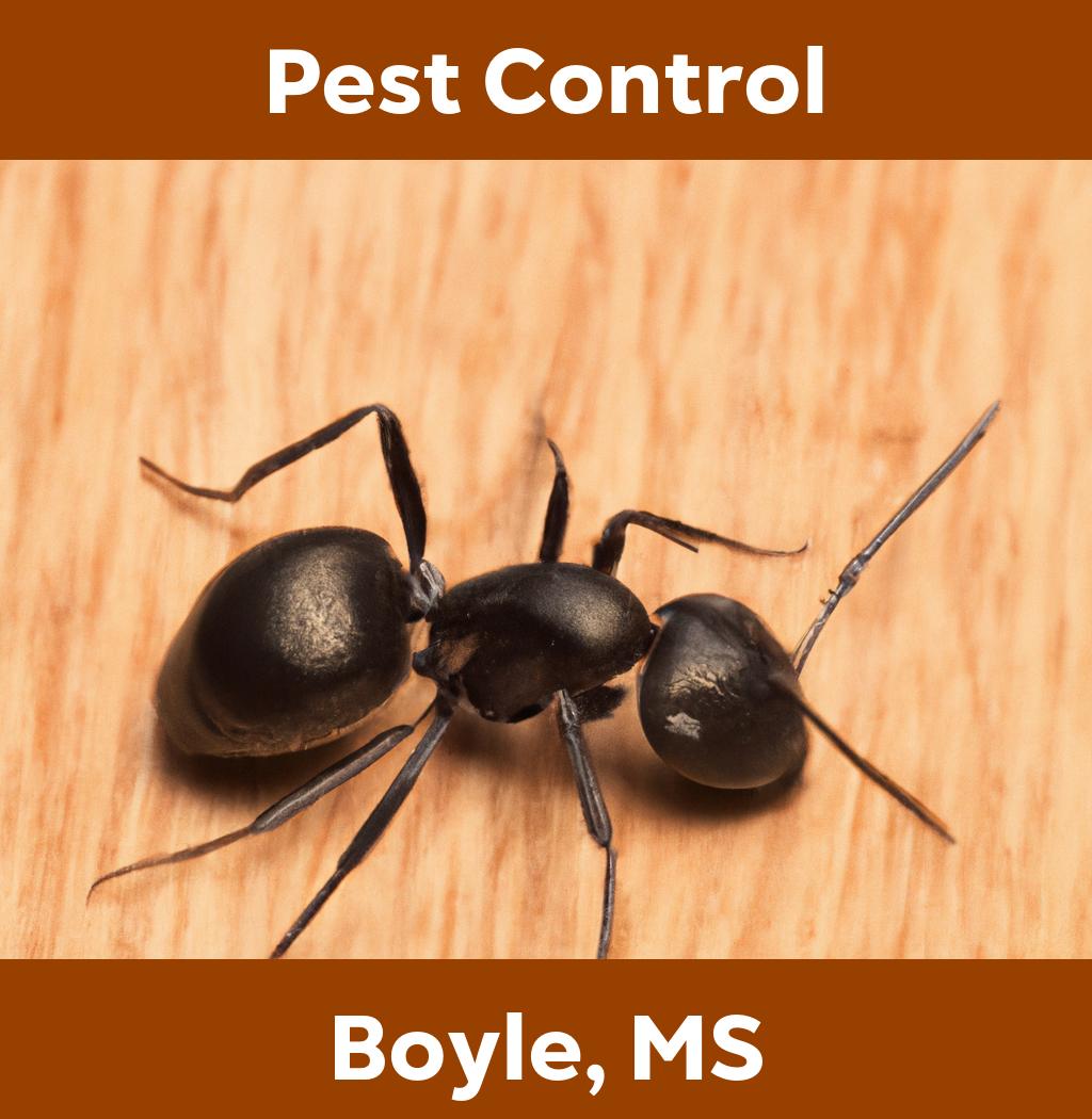 pest control in Boyle Mississippi