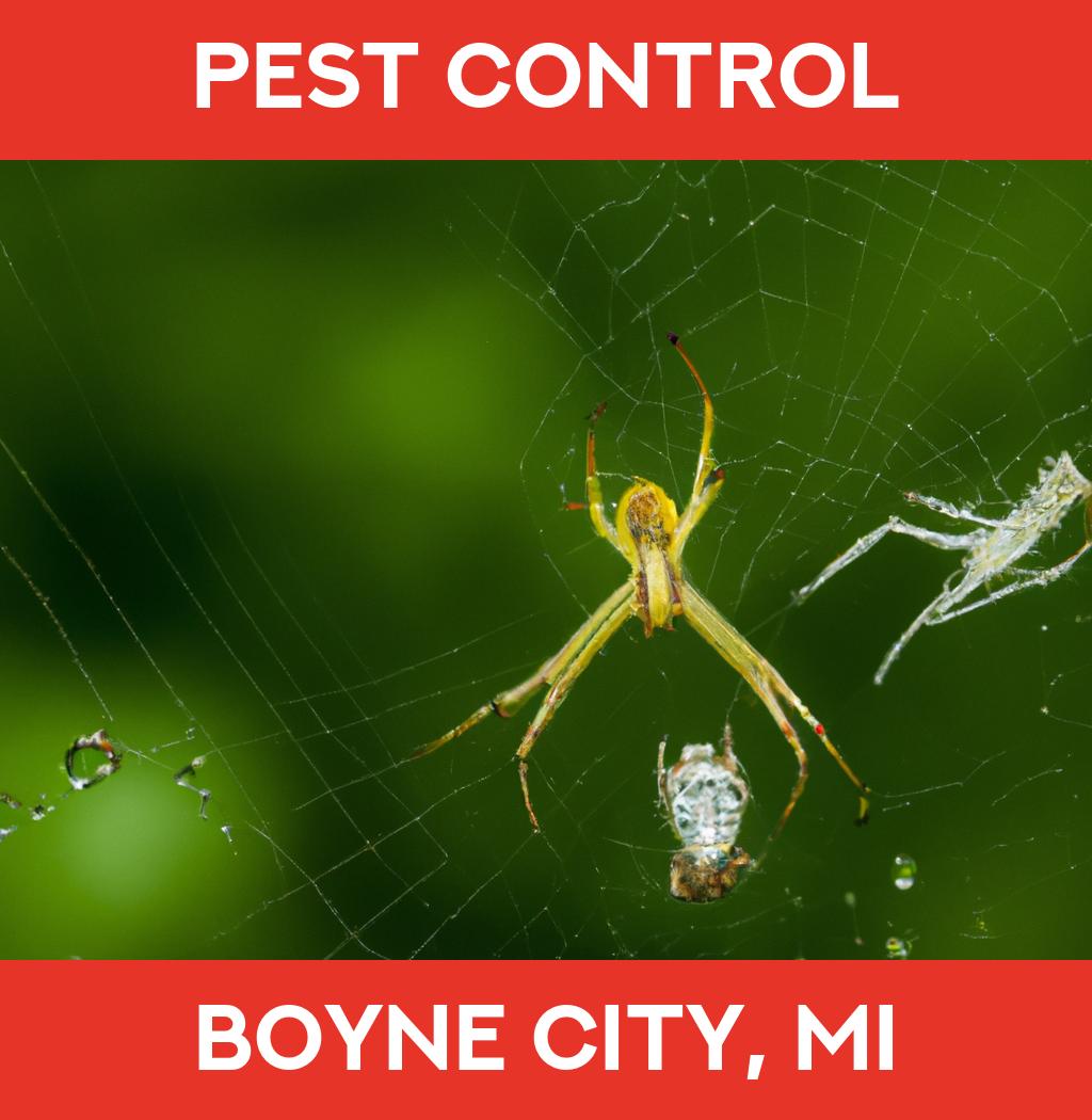 pest control in Boyne City Michigan