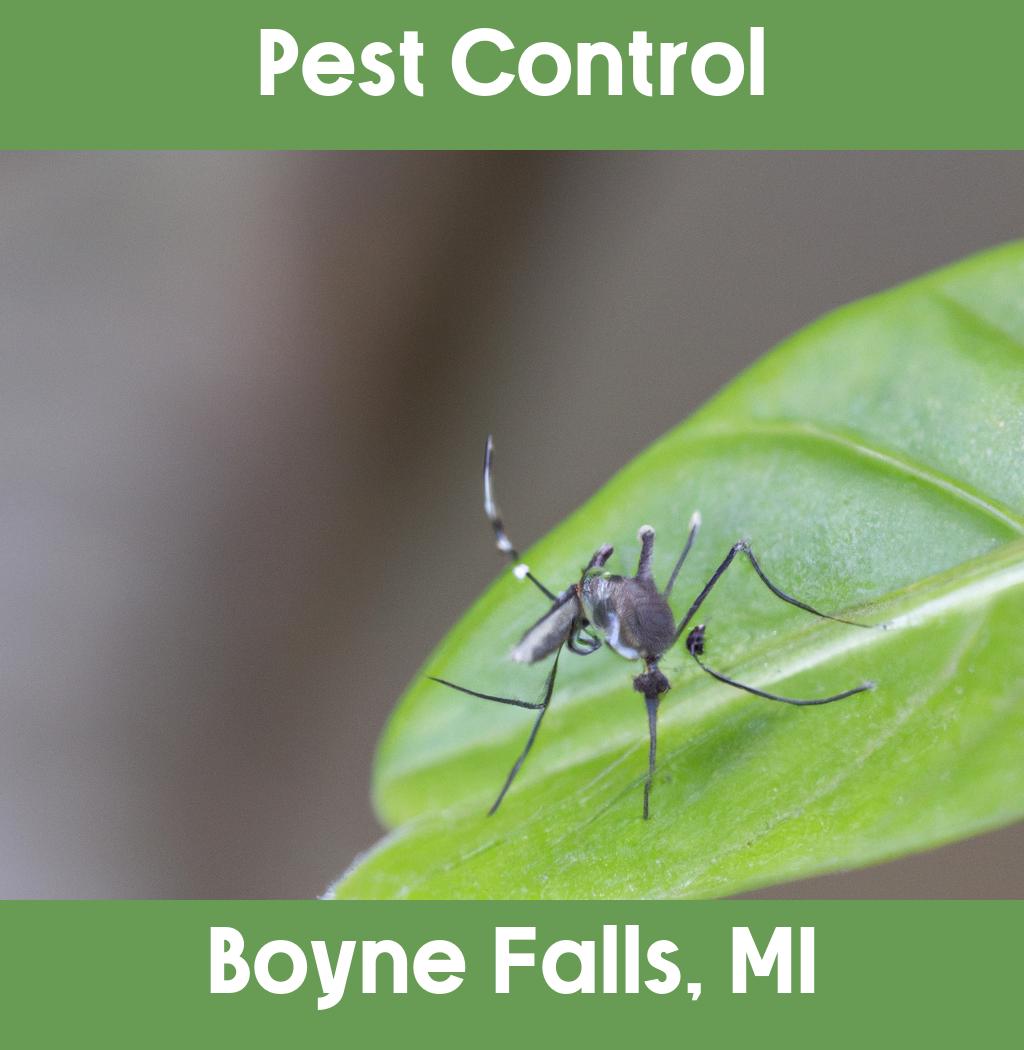 pest control in Boyne Falls Michigan