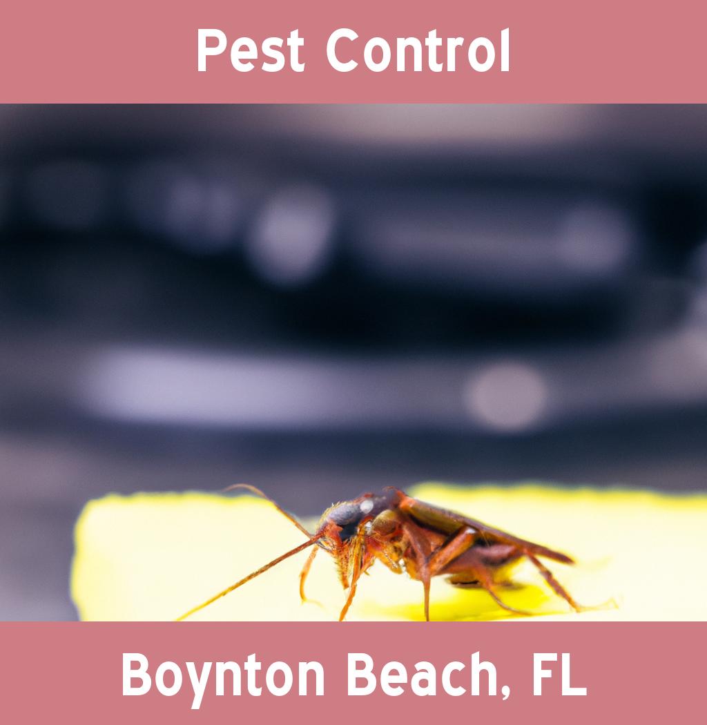 pest control in Boynton Beach Florida