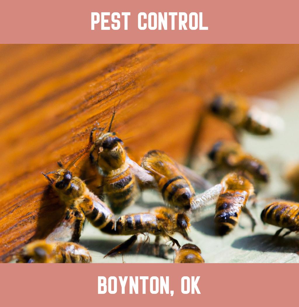 pest control in Boynton Oklahoma