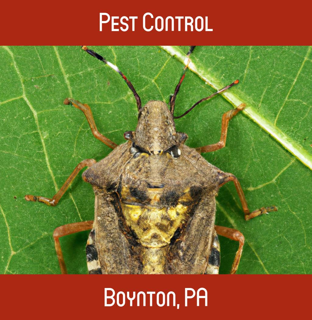 pest control in Boynton Pennsylvania