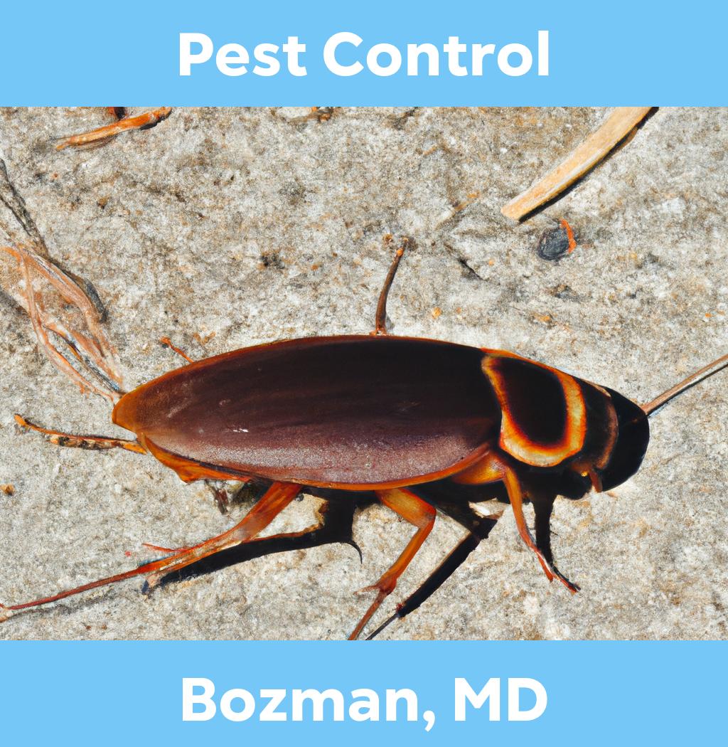 pest control in Bozman Maryland
