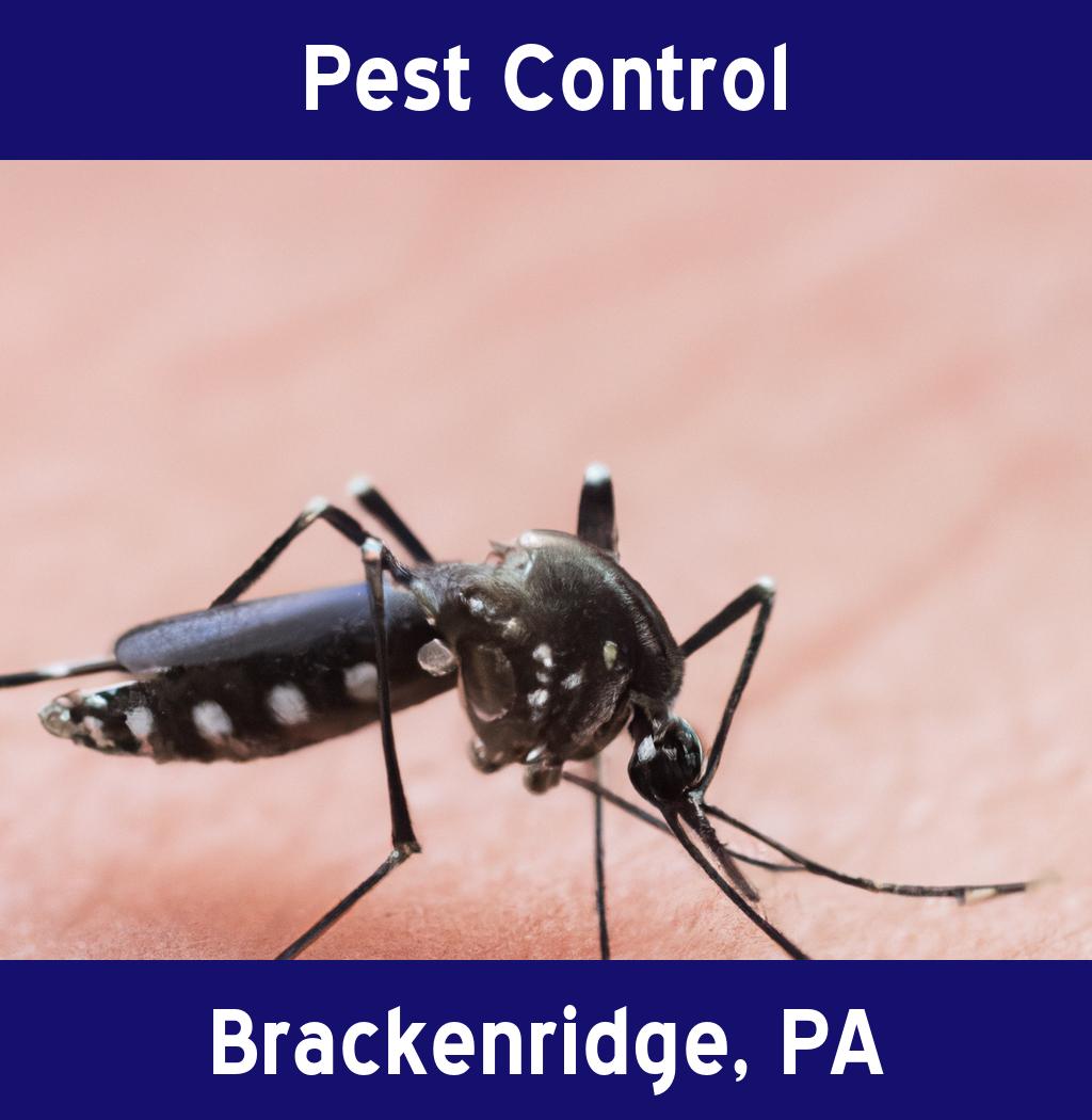pest control in Brackenridge Pennsylvania