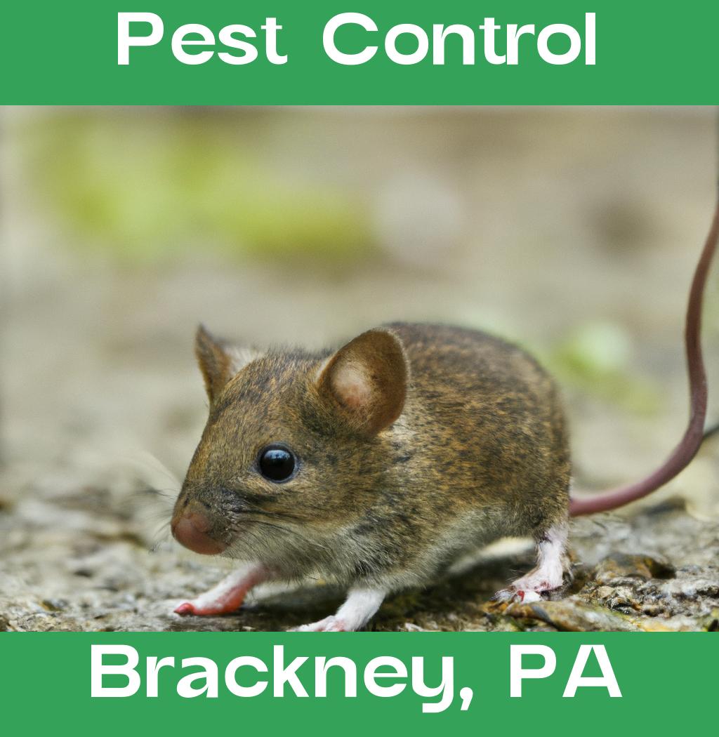 pest control in Brackney Pennsylvania