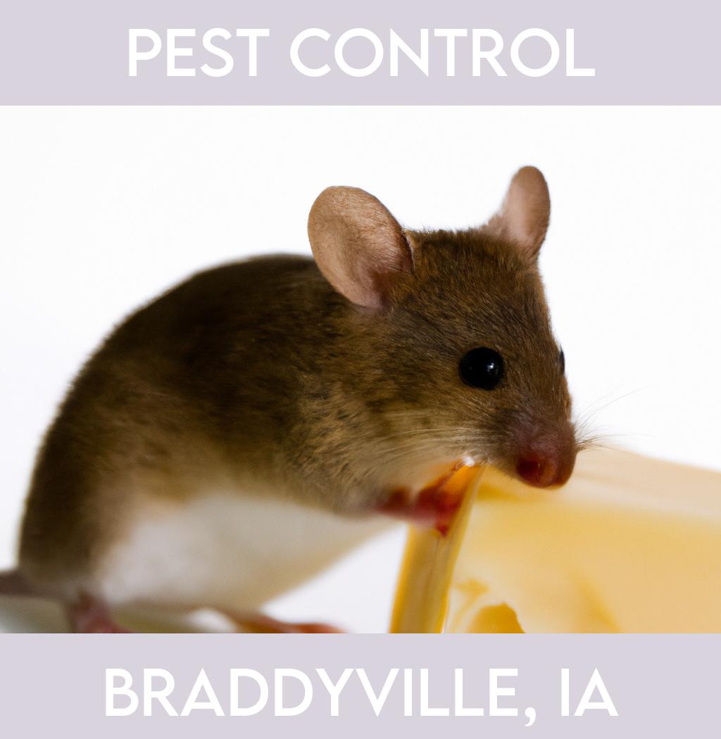 pest control in Braddyville Iowa