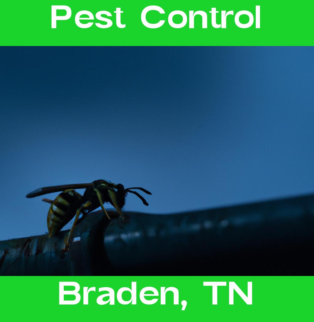 pest control in Braden Tennessee