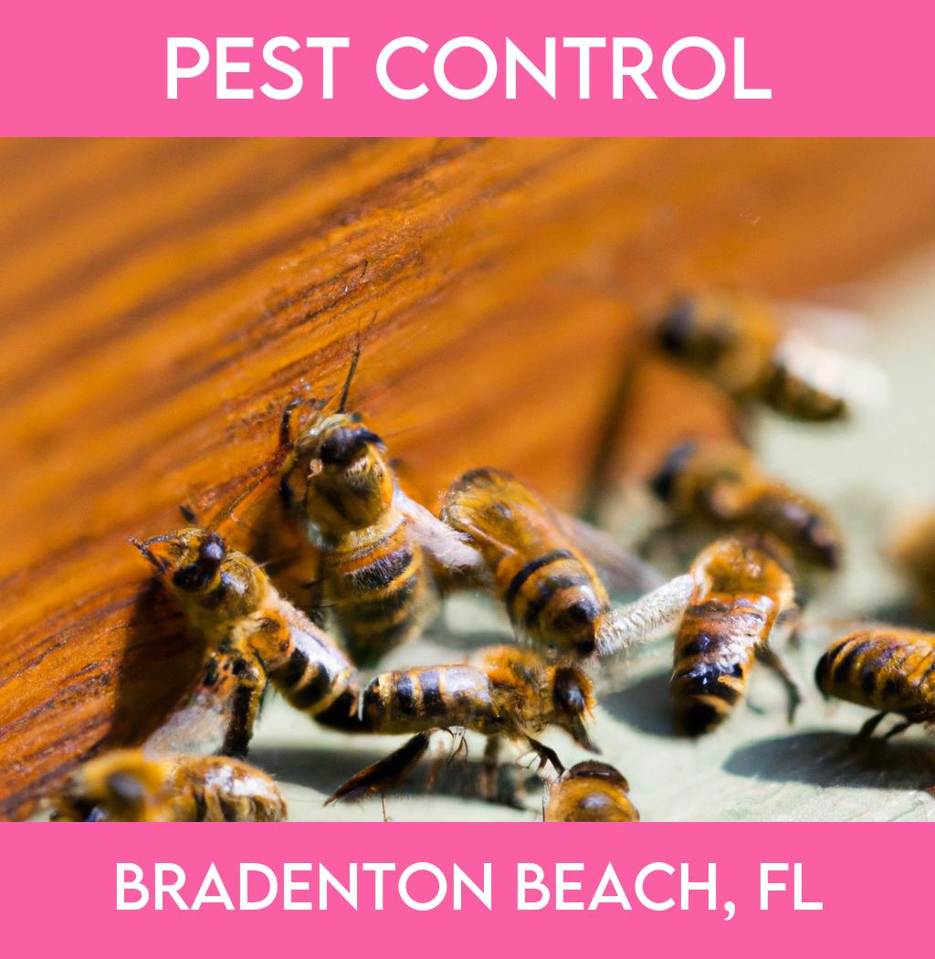 pest control in Bradenton Beach Florida