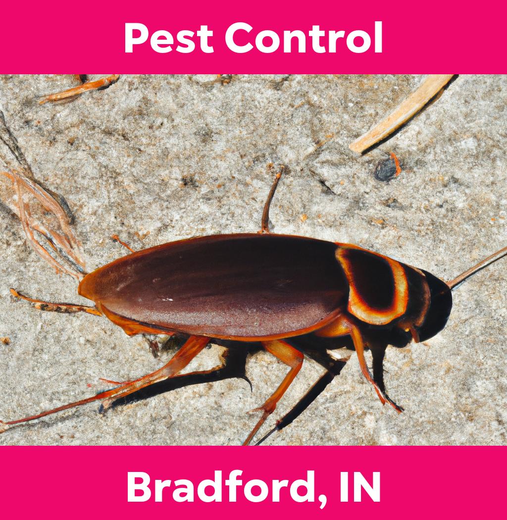 pest control in Bradford Indiana