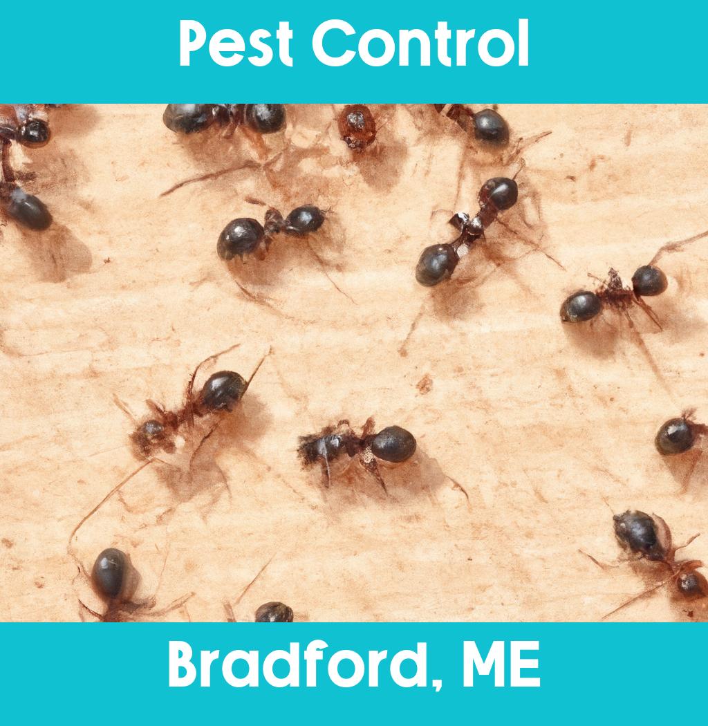 pest control in Bradford Maine