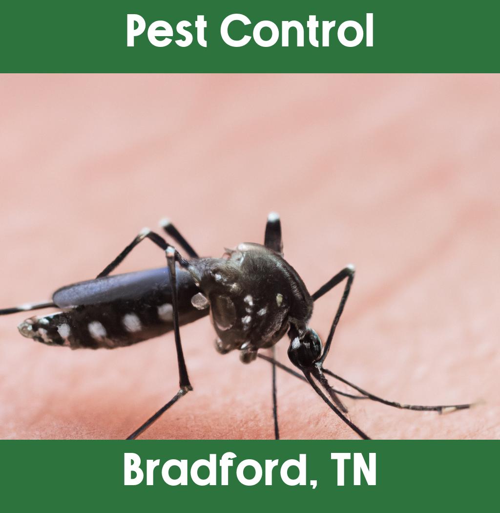 pest control in Bradford Tennessee
