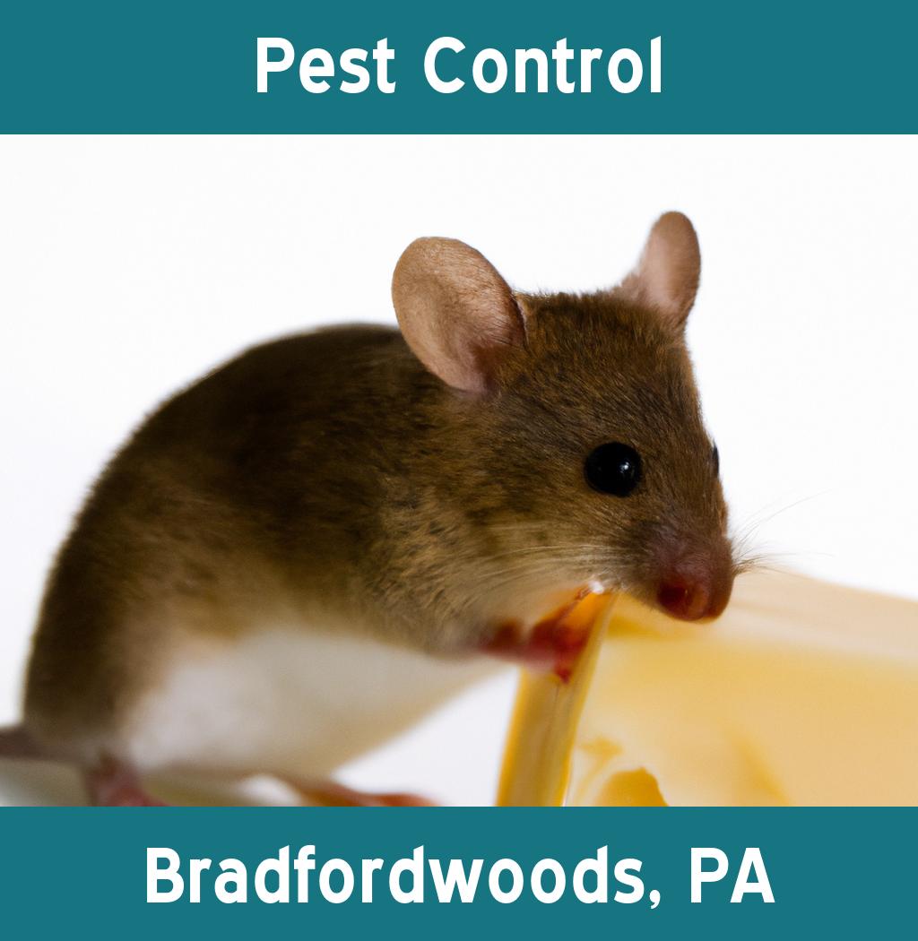 pest control in Bradfordwoods Pennsylvania