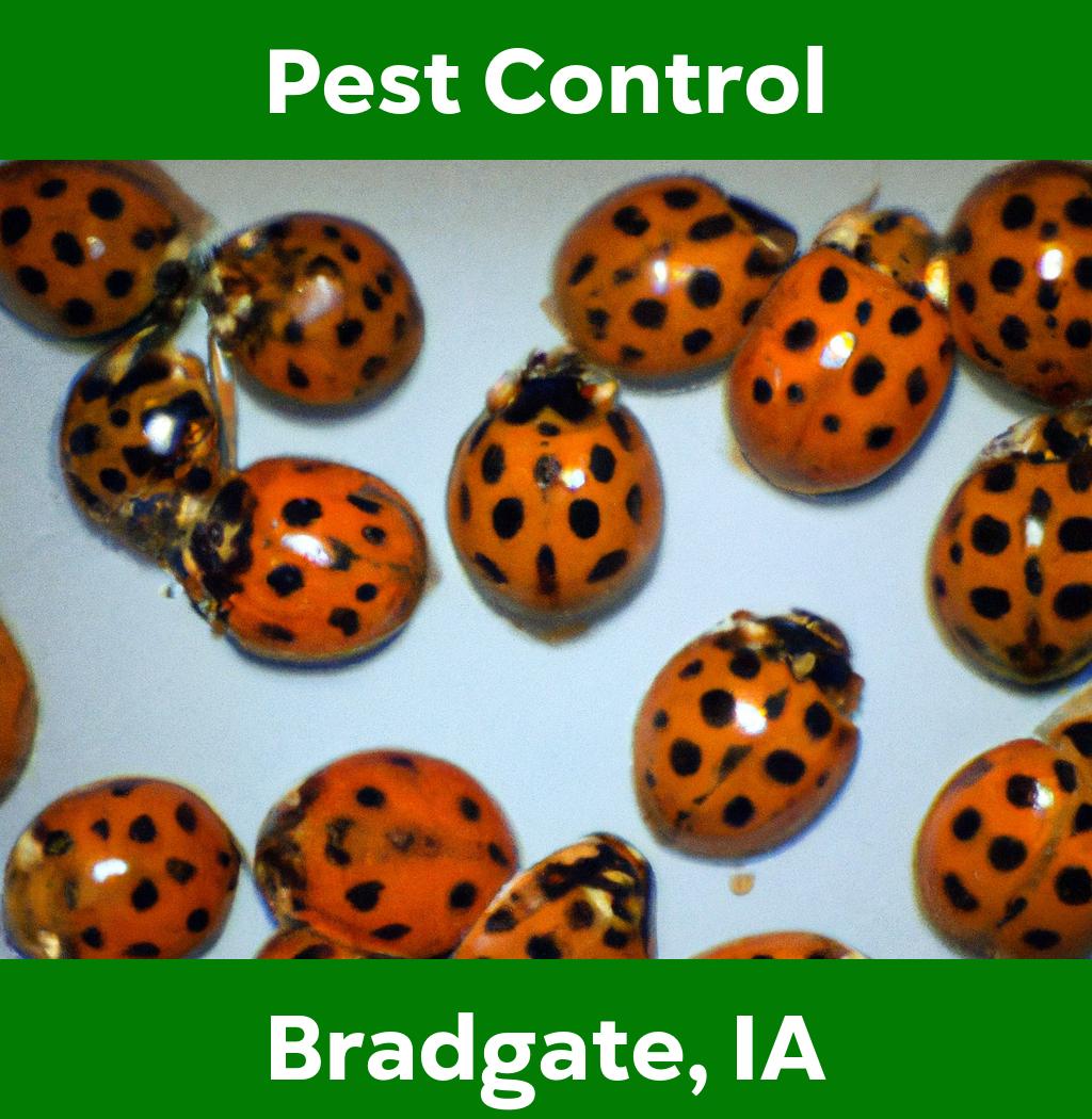 pest control in Bradgate Iowa