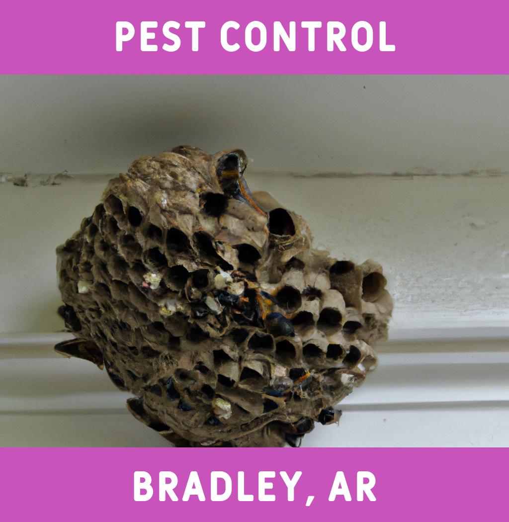 pest control in Bradley Arkansas