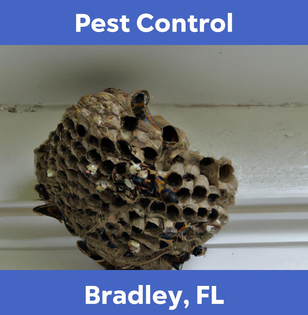 pest control in Bradley Florida