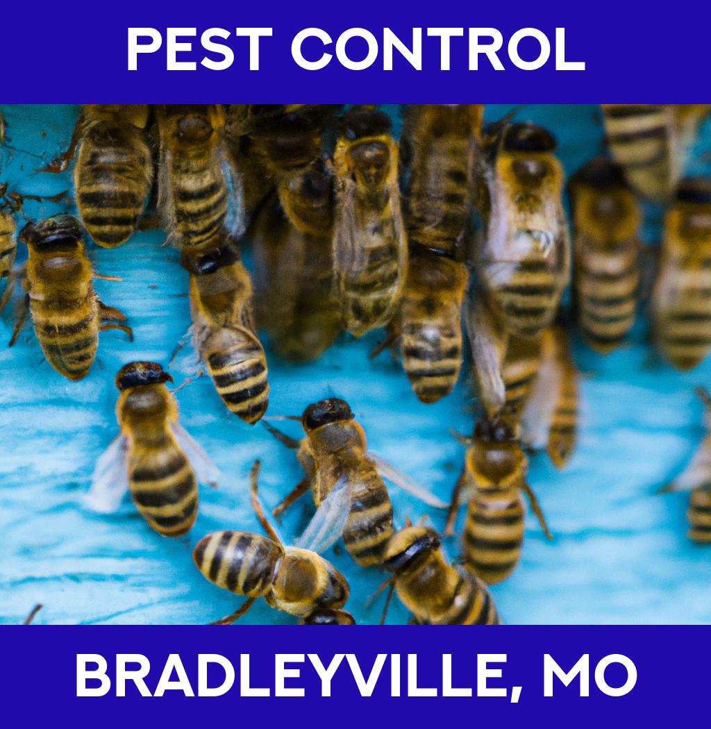 pest control in Bradleyville Missouri