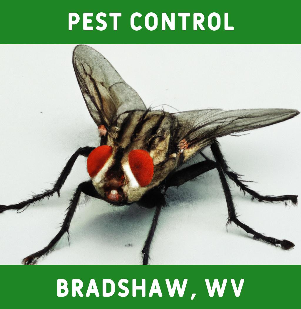 pest control in Bradshaw West Virginia