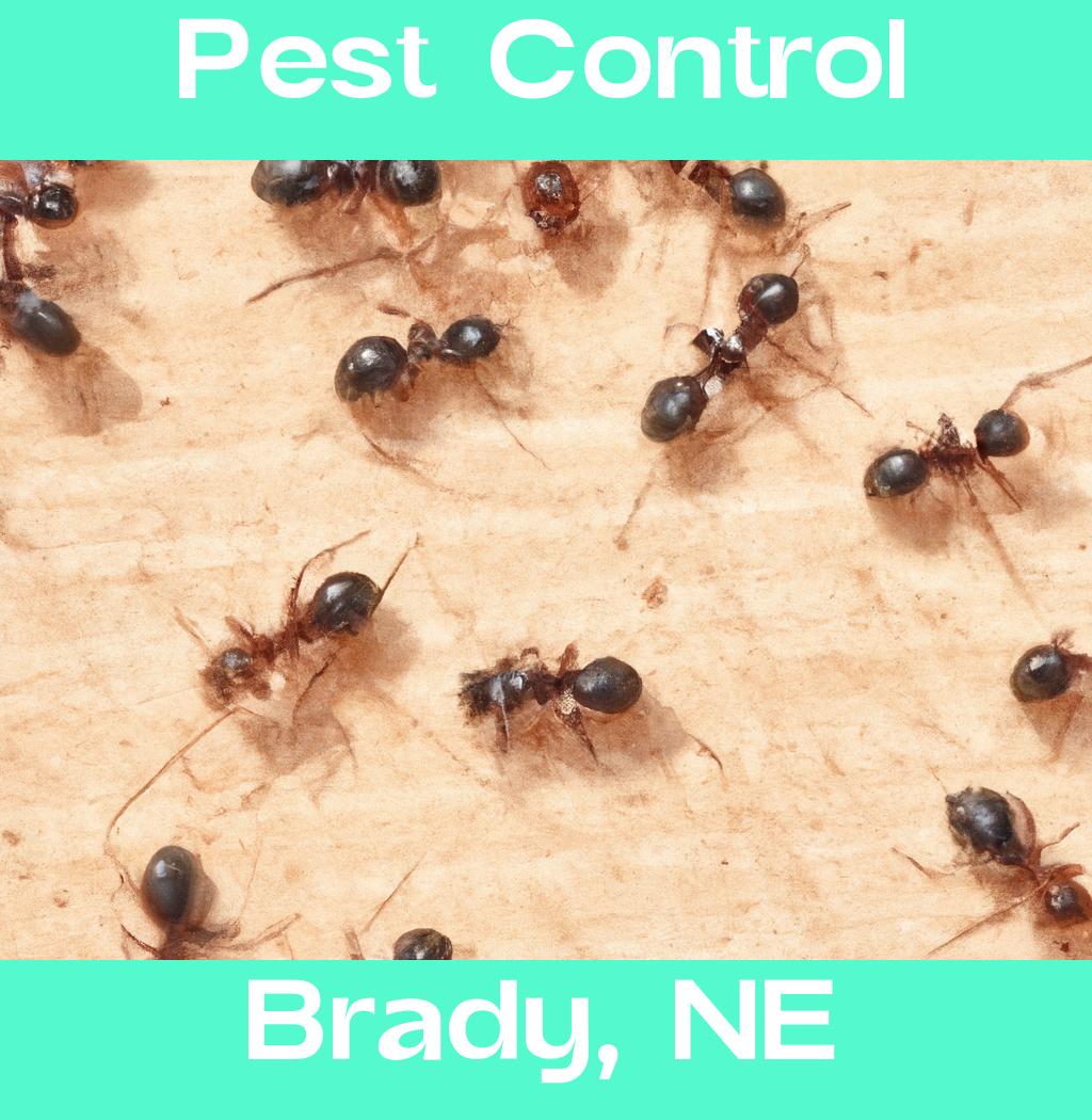 pest control in Brady Nebraska
