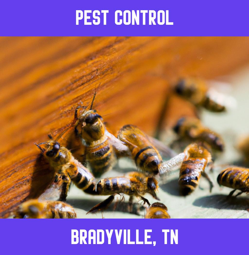 pest control in Bradyville Tennessee