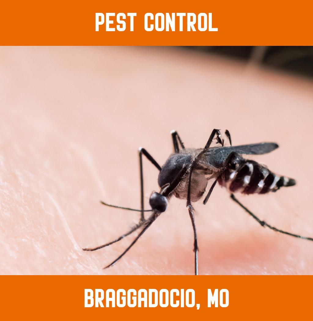 pest control in Braggadocio Missouri