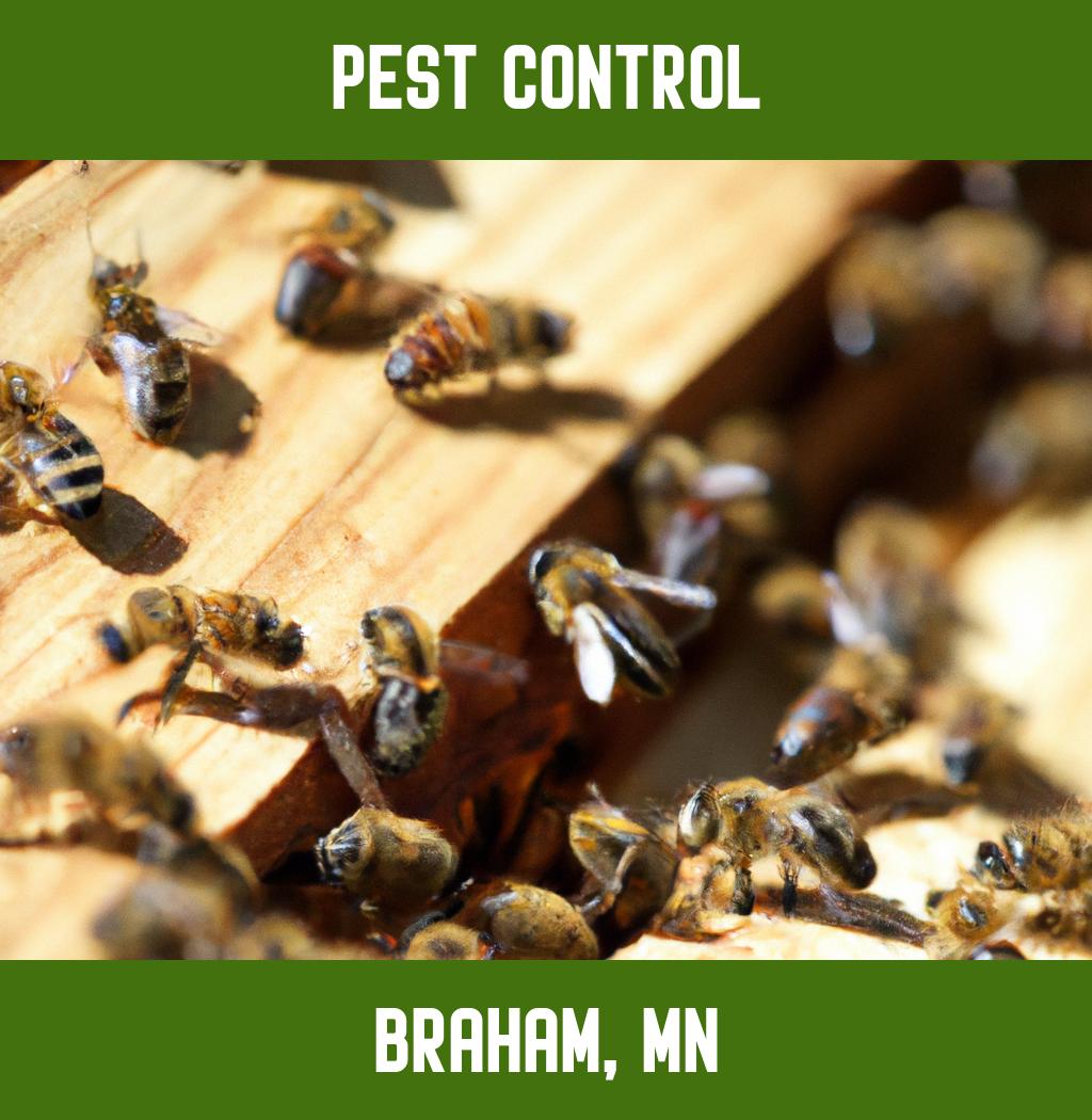 pest control in Braham Minnesota