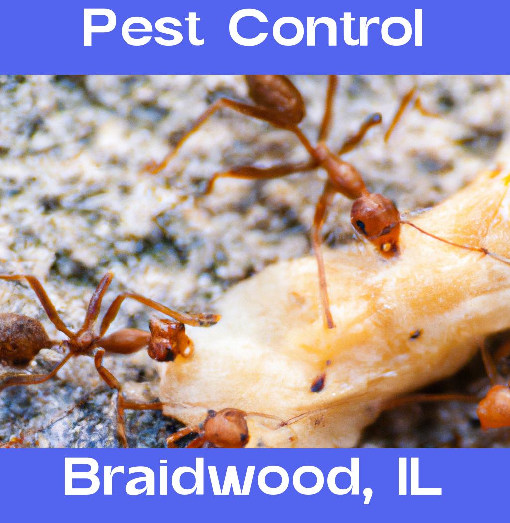 pest control in Braidwood Illinois