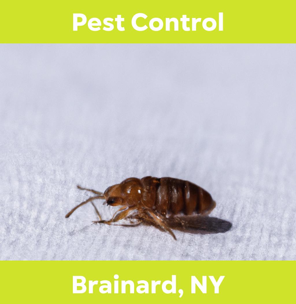 pest control in Brainard New York