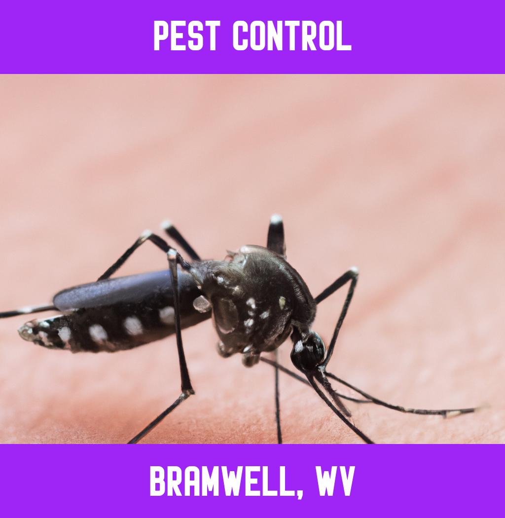 pest control in Bramwell West Virginia