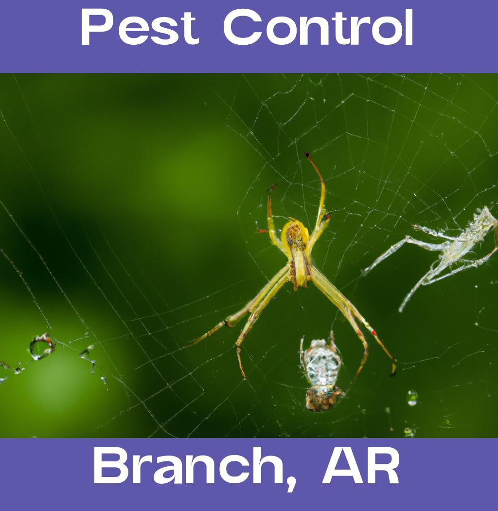 pest control in Branch Arkansas