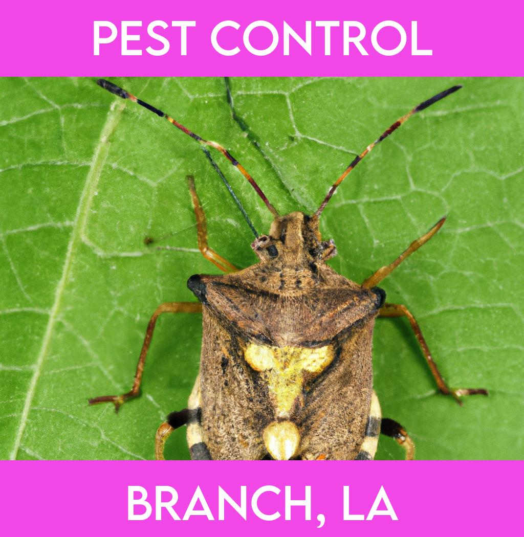 pest control in Branch Louisiana