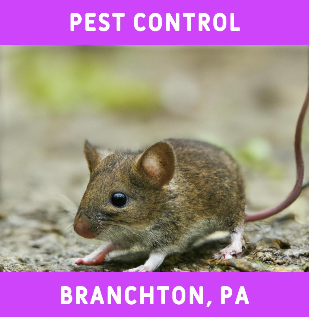 pest control in Branchton Pennsylvania