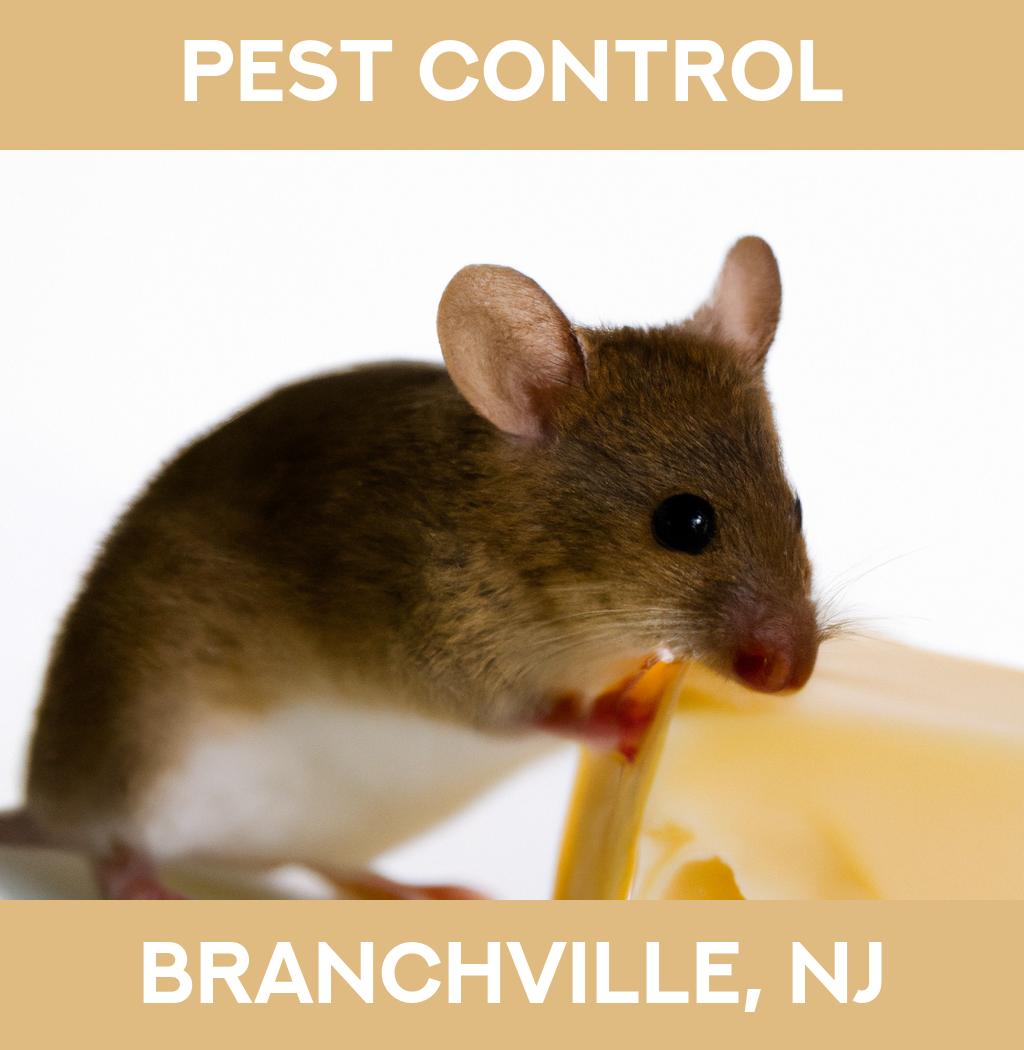 pest control in Branchville New Jersey