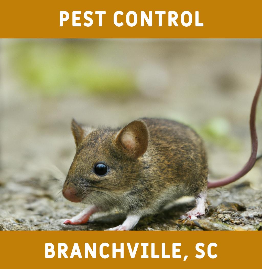 pest control in Branchville South Carolina