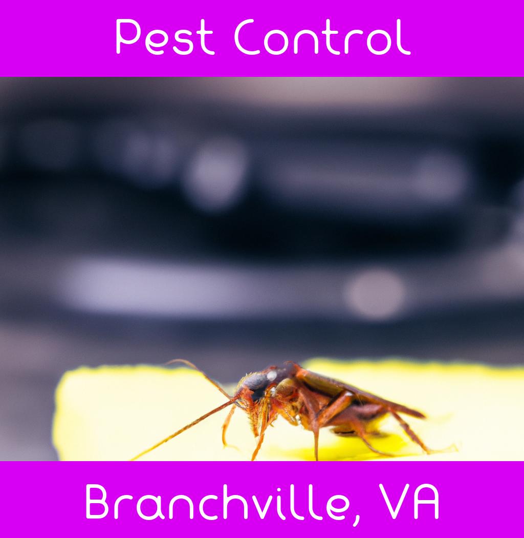 pest control in Branchville Virginia