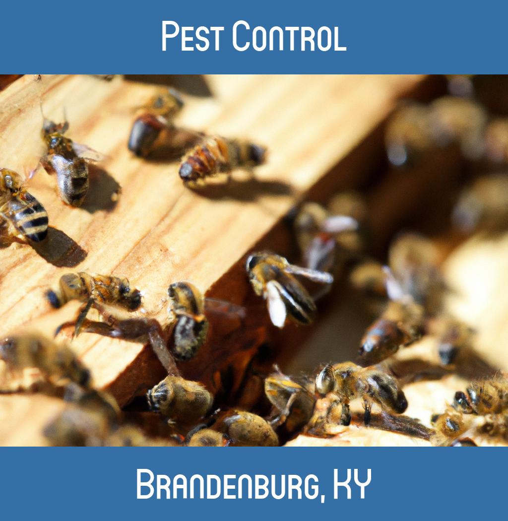 pest control in Brandenburg Kentucky