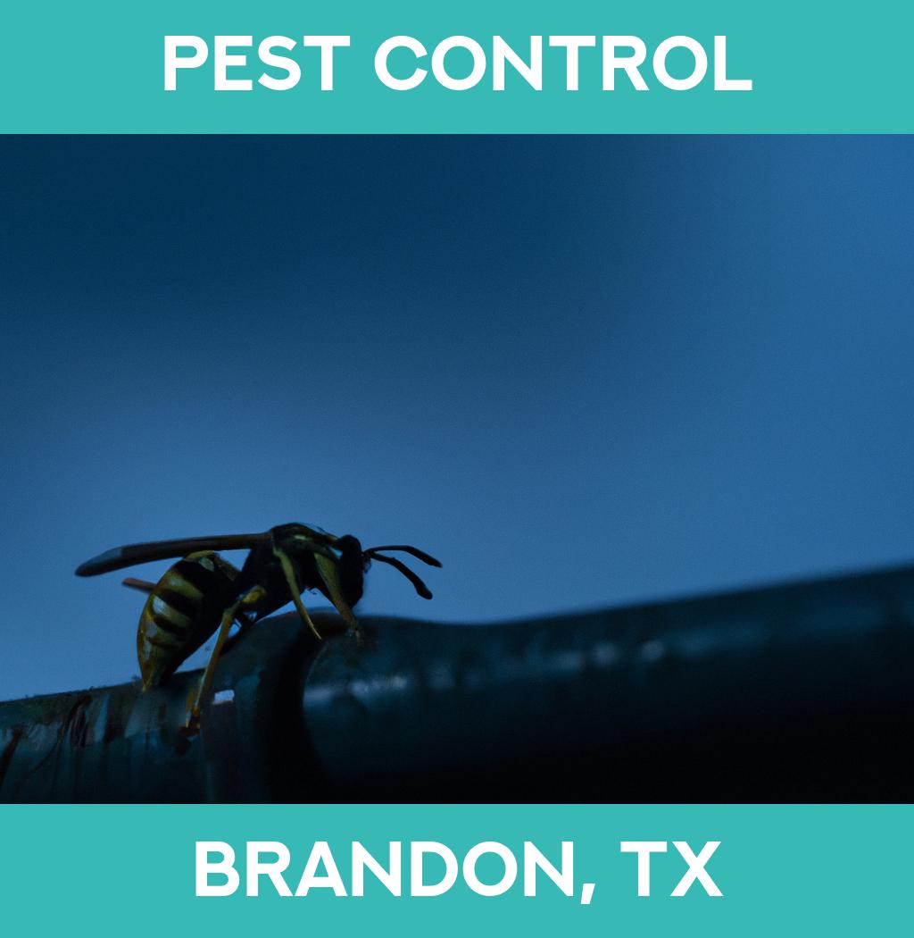 pest control in Brandon Texas