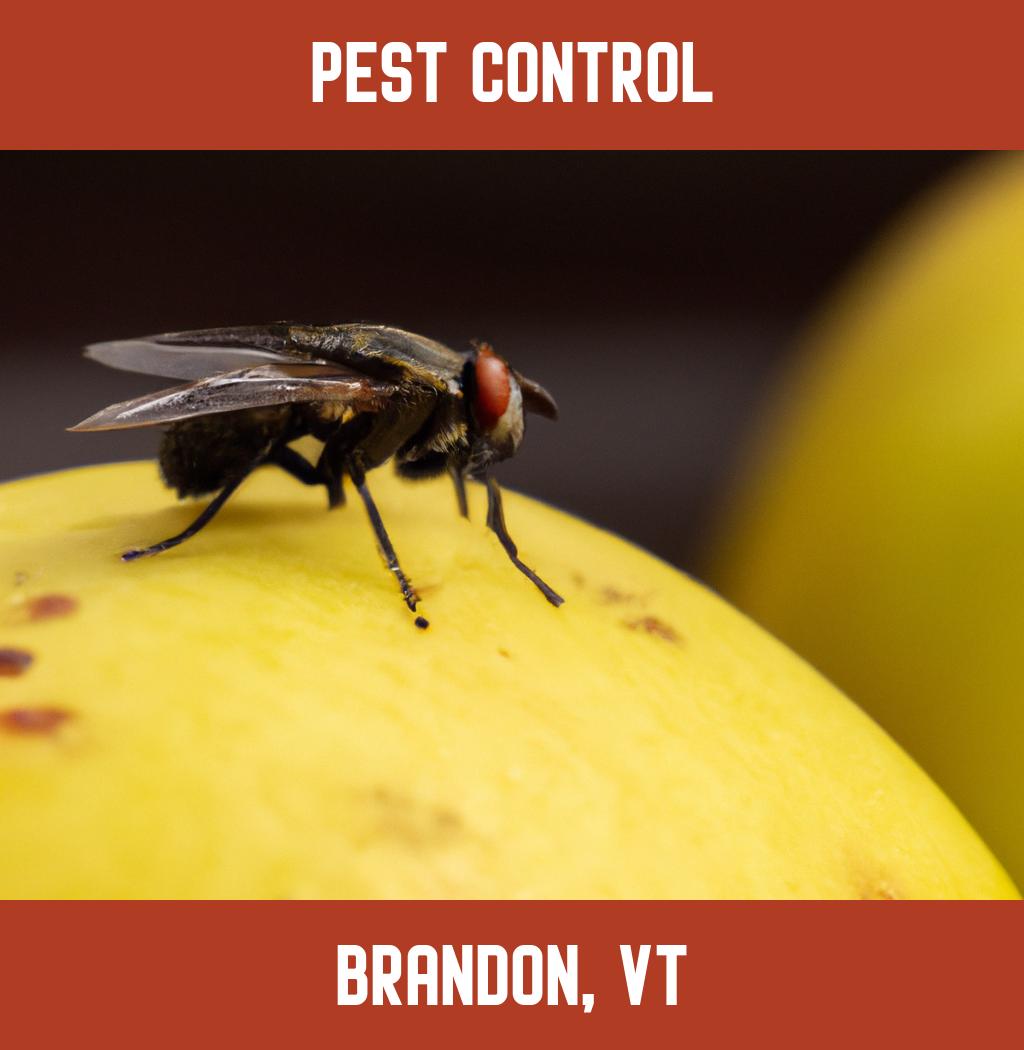 pest control in Brandon Vermont