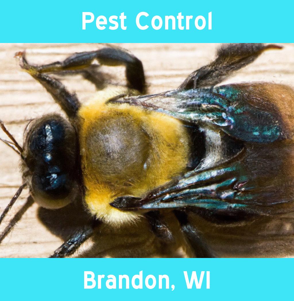 pest control in Brandon Wisconsin