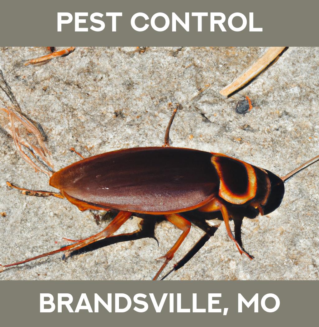 pest control in Brandsville Missouri