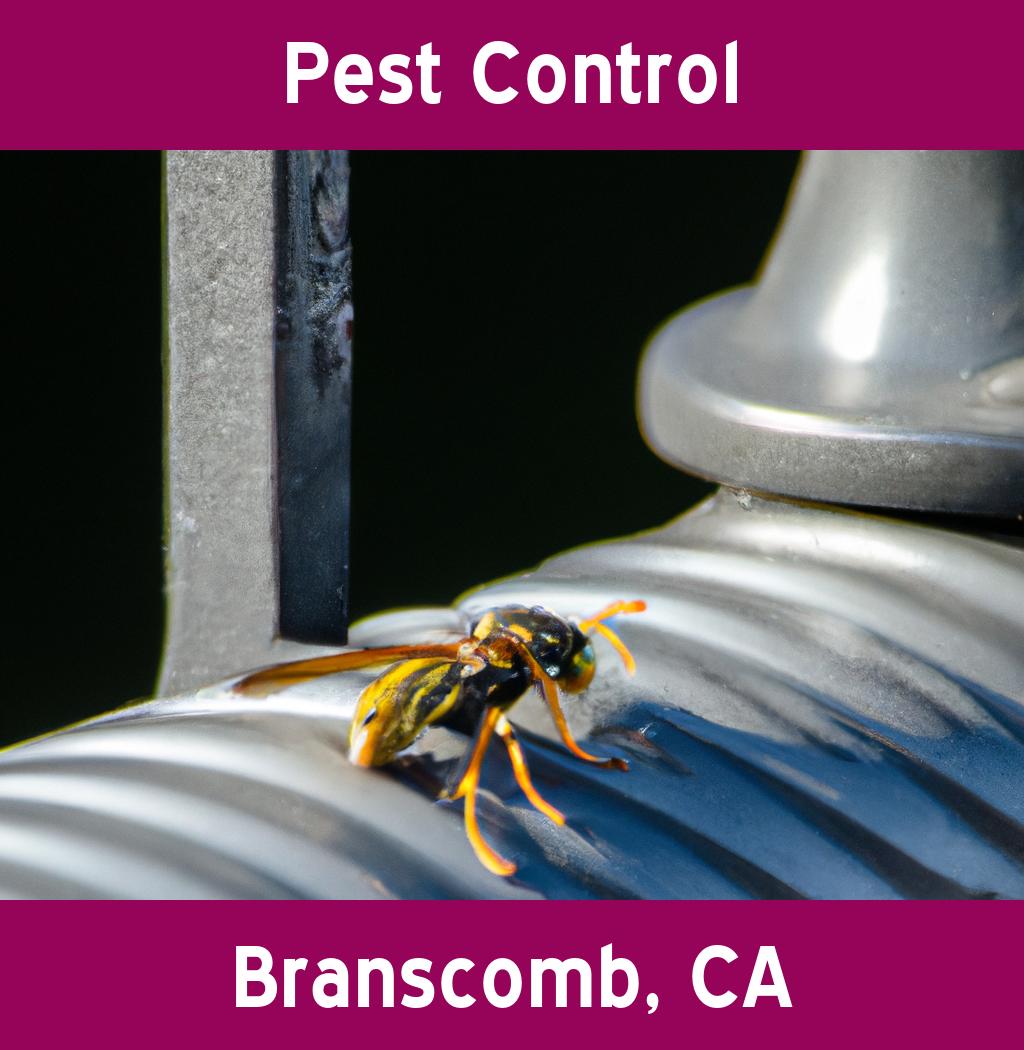 pest control in Branscomb California