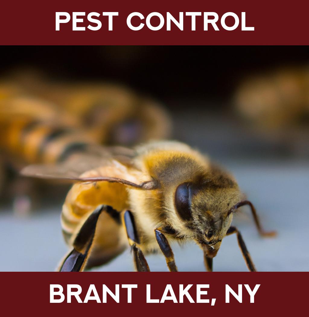 pest control in Brant Lake New York